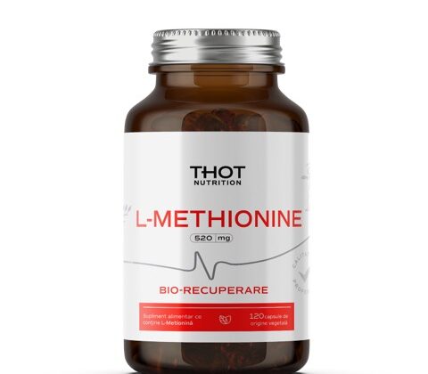 Thot L-Methionine - The Key Amino Acid for Your Regeneration