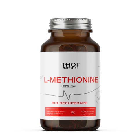 Thot L-Methionine - The Key Amino Acid for Your Regeneration