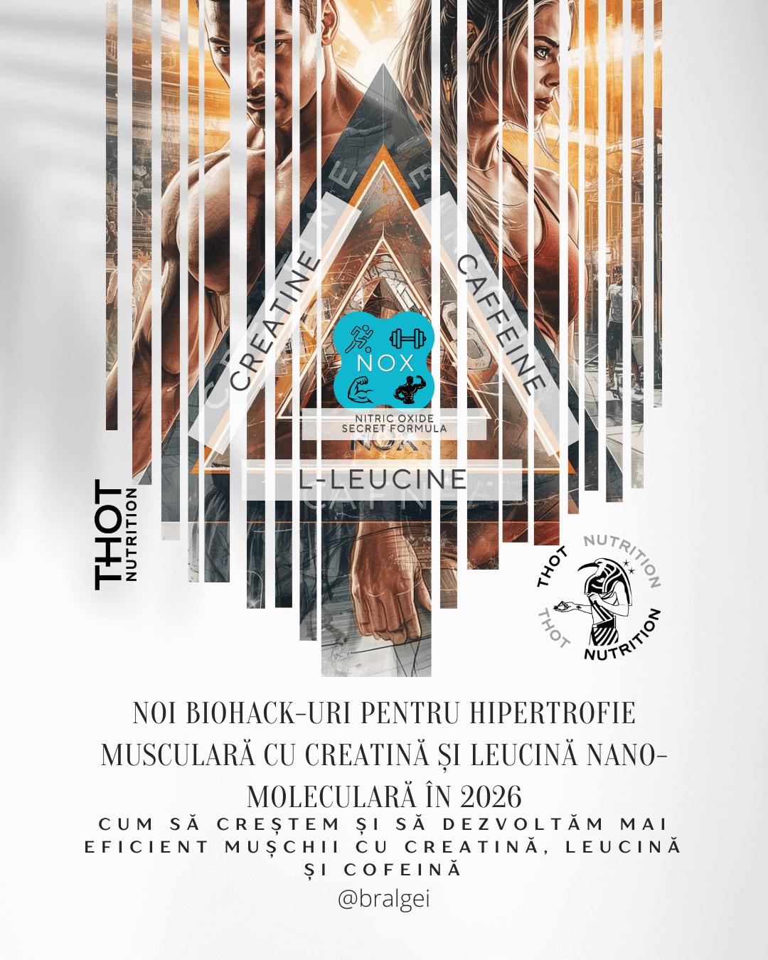 Hipertrofie musculara cu Creatina si Leucina Nano moleculara